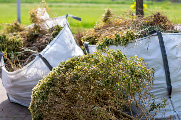 Best Retail Junk Removal  in Wildwood, MO
